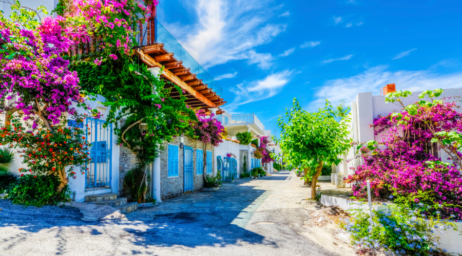Bodrum’da Unutulmaz Deneyimler Sizi Bekliyor
