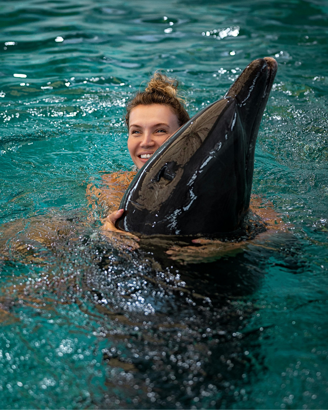 Dolphin Swim Tour