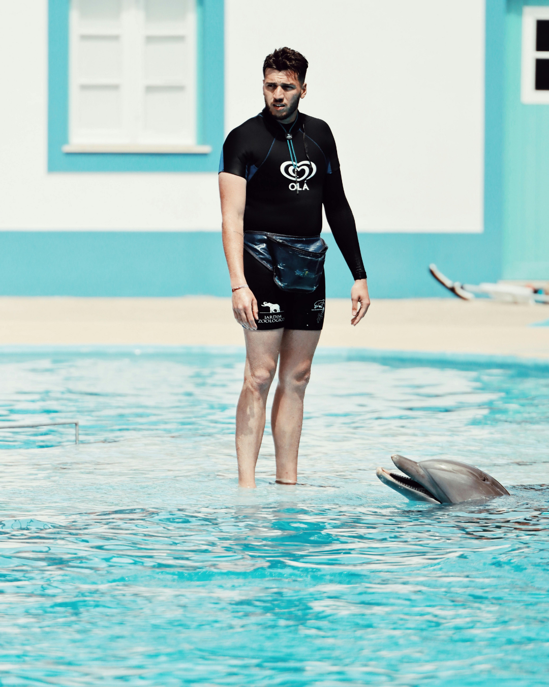 Dolphin Swim Tour