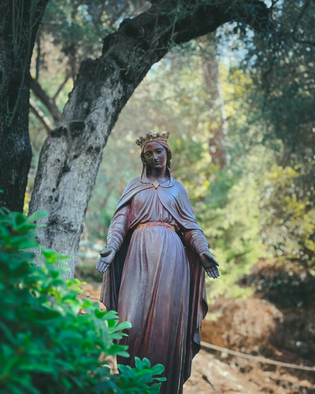 Ephesus Tour - Walk Through Ancient History