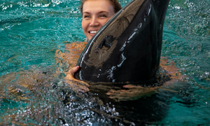 Dolphin Swim Tour